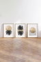 Wallity Huhu210 - Set de 3 Pinturas Decorativas en MDF de 35 x 50 cm
